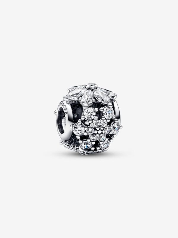 Originale Pandora 792383C01 Argento Sterling 925 Charm Openwork Herbarium Fiori Luminosi
